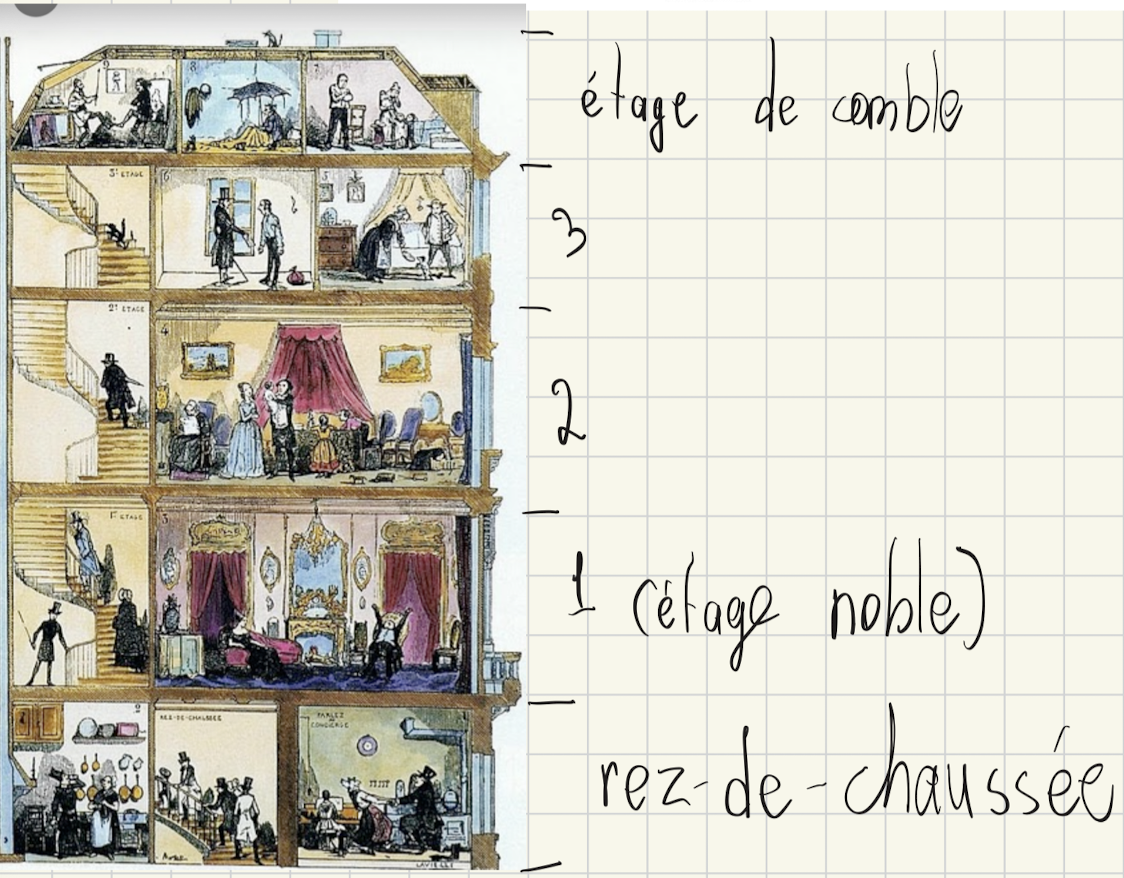 <p>distinguer l’etage et niveau: </p><ul><li><p>niveau = description des elevations = souvent marques par l’alignement des fenetres sur le cote de droit (EXTERIEUR)</p></li><li><p>etage = divisions horizontales à l’interieur du batiment (INTERIEUR)</p></li></ul><p></p>