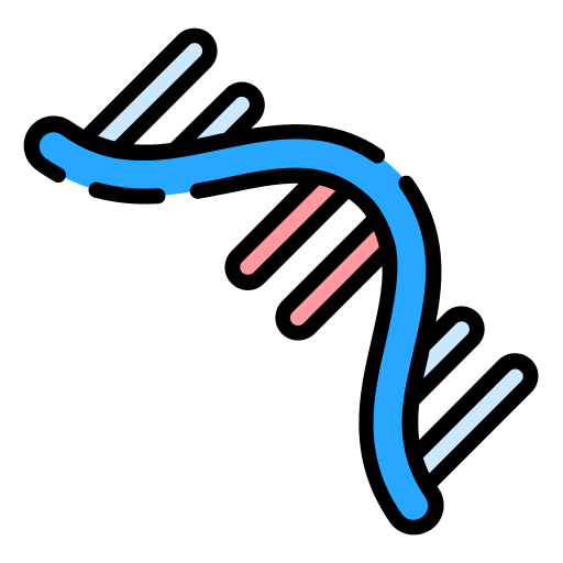 <p>Where is <strong>messenger RNA (mRNA)</strong> produced?</p>