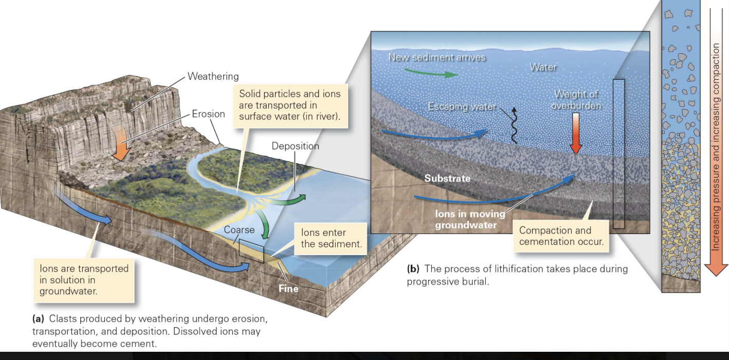 <p>combination of processes that separate rock or regolith (surface debris) from its substrate and it involves abrasion, falling, plucking, scouring, and dissolution</p><ul><li><p>grinding away and removal of the Earth’s surface materials by moving water, air, or ice</p></li></ul><p></p>