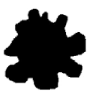 term image