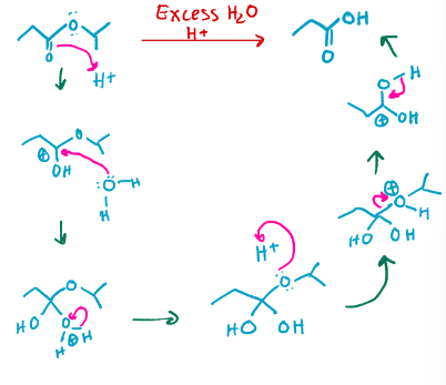 <p>Reverse fischer esterification, turns that ester with a chain into a carboxylic acid</p>
