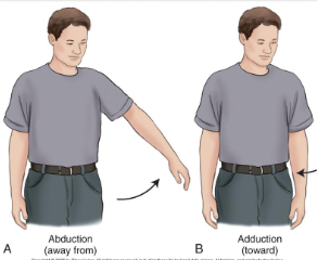 <p>ABduction = lateral movement away from body, “abducted by aliens, taken away”</p><p>ADduction = later movement towards body, “add to body”</p>