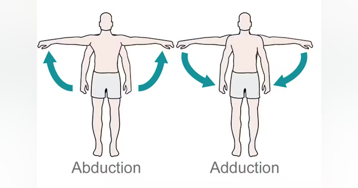 <p>Abduction and adduction.</p>