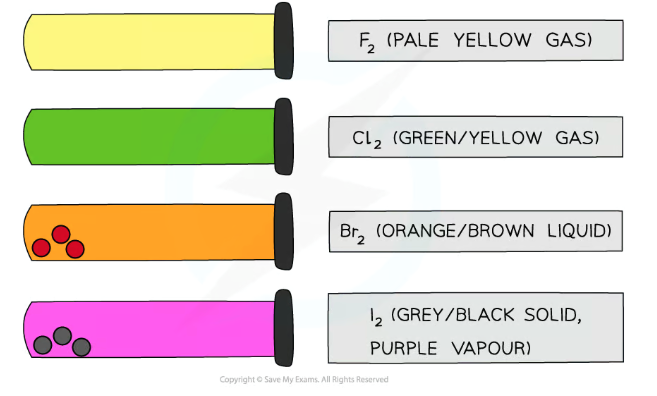 <p>F<sub>2</sub> is a pale yellow gas</p><p>Cl<sub>2</sub> is a green /yellow gas</p><p>Br<sub>2</sub> is a orange / brown liquid</p><p>I<sub>2</sub> is a grey/black solid or a purple vapour </p><p></p><p>(they each have distinct colours which get darker going down the group)</p>