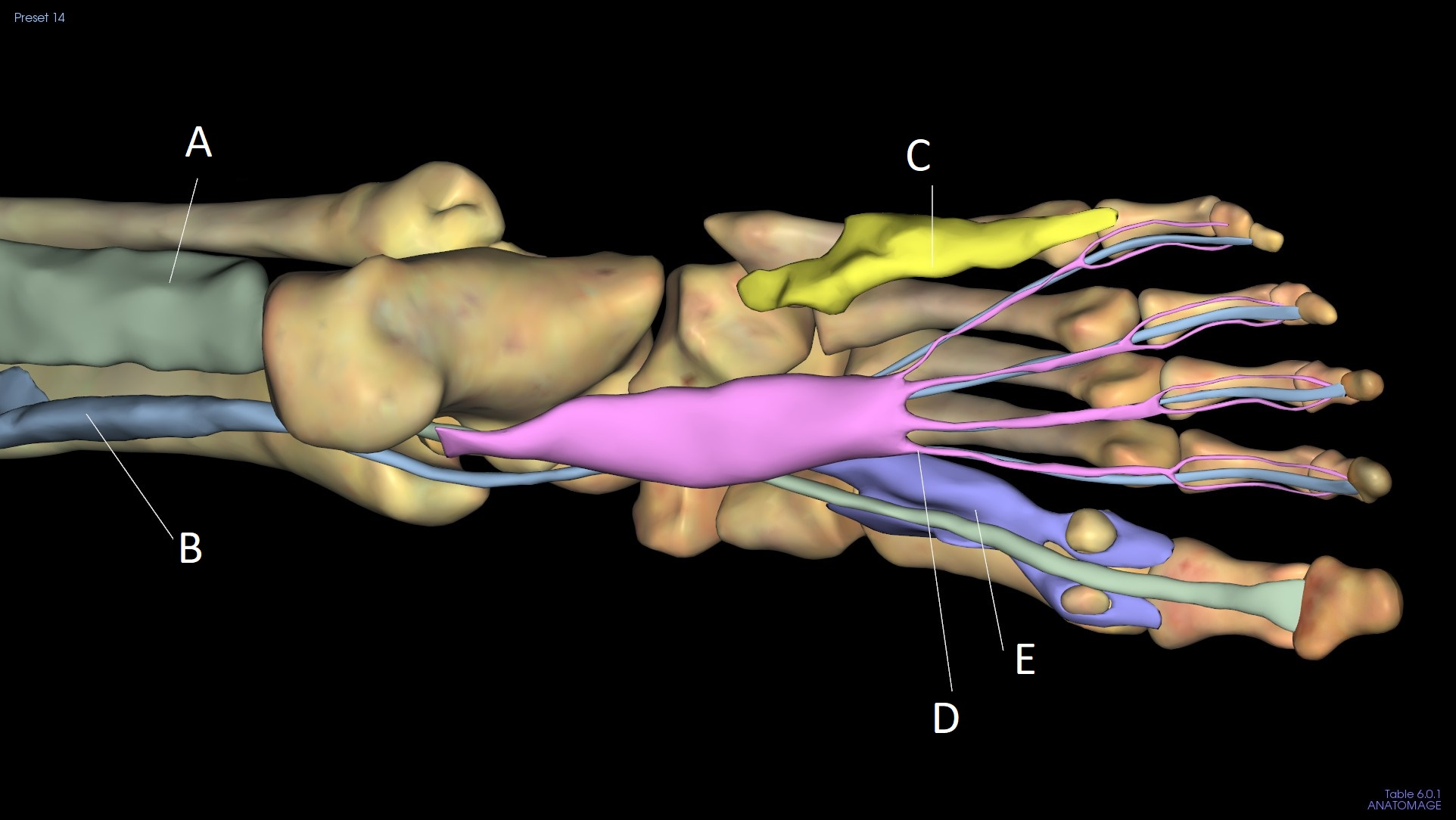 <p>A</p>