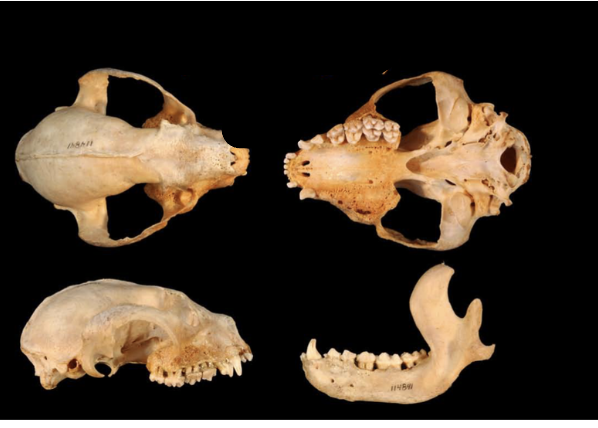 <p>What is this?</p>