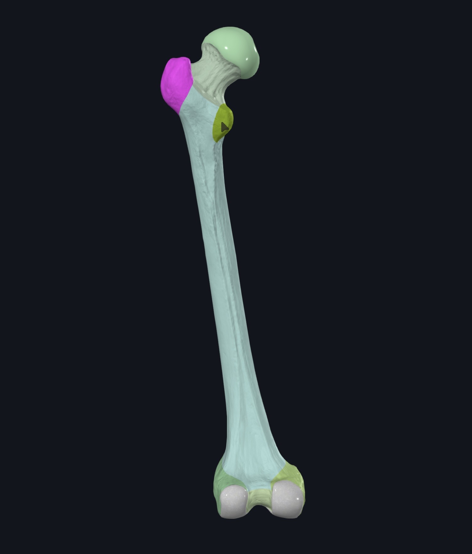 <p>¿Qué es esto?</p>