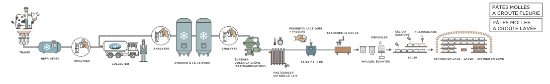 <ol><li><p>Caillage + emprésurage</p></li><li><p>Moulage</p></li><li><p>Égouttage</p></li><li><p>Démoulage</p></li><li><p>Affinage en cave (≈ 1 mois) → dvpt de la “fleur” (croûte duveteuse blanche)</p></li></ol><p></p>