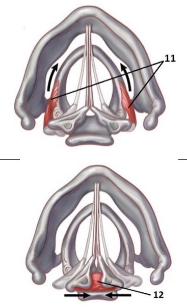 <p>12</p>