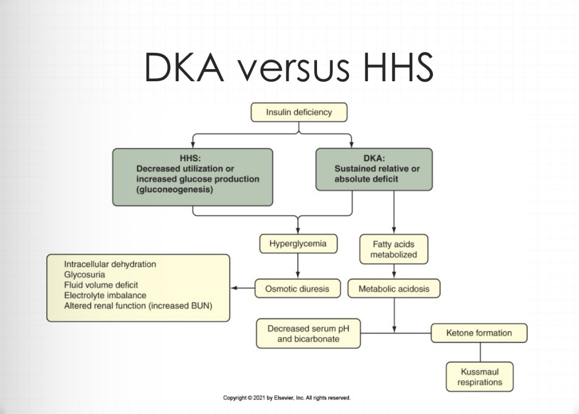 <ul><li><p>blood sugar > DKA </p></li><li><p>more “normal” ABG , no changes or little ones</p></li><li><p>More electrolyte imbalances and renal</p></li></ul><p>dysfunction</p><ul><li><p>Higher serum osmolarity than DKA</p></li><li><p>Ketosis absent or mild</p></li></ul><p></p>