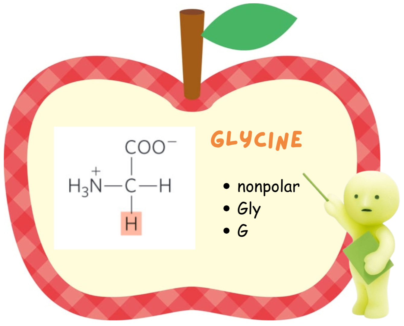 <ul><li><p>Glycine</p></li><li><p>Nonpolar</p></li><li><p>Gly</p></li><li><p>G</p></li></ul><p></p>