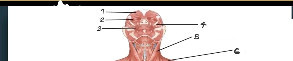 <p>What is No. 1 to 6?</p>