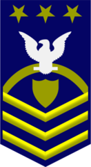 <p>Collar device is a shield on an anchor with two three silver stars. The sleeve design is three gold chevrons, a gold rocker, a crow and three stars.</p>