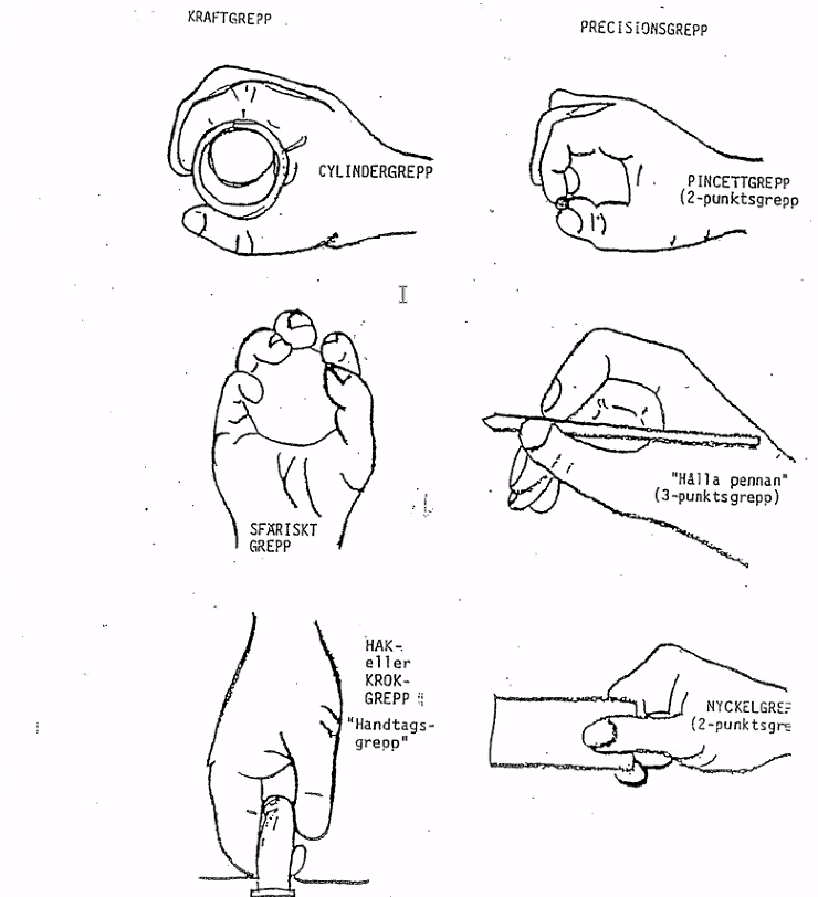 <p>Tumme abducerad och flekterad<br>Flexor digitorum profundus <br>Extensor carpi ulnaris/radialis (synergist) för att förhindra flexion av handled</p>