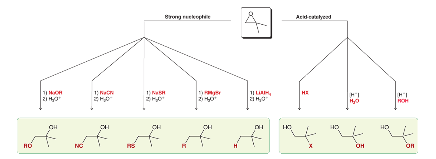 <p>Strong nuc: NaCN, NaOR, NaSR, RMgBr, LiAlH(LAH)~ attacks the less substituted carbon </p><p>Acid catalyzed: HX, [H<sup>+</sup>]/H<sub>2</sub>O, [H<sup>+</sup>]/ ROH</p>