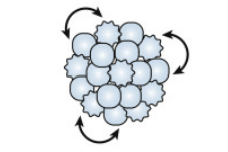 <p>Why multicellularity? (1/10)</p><p>Benefits of …</p>