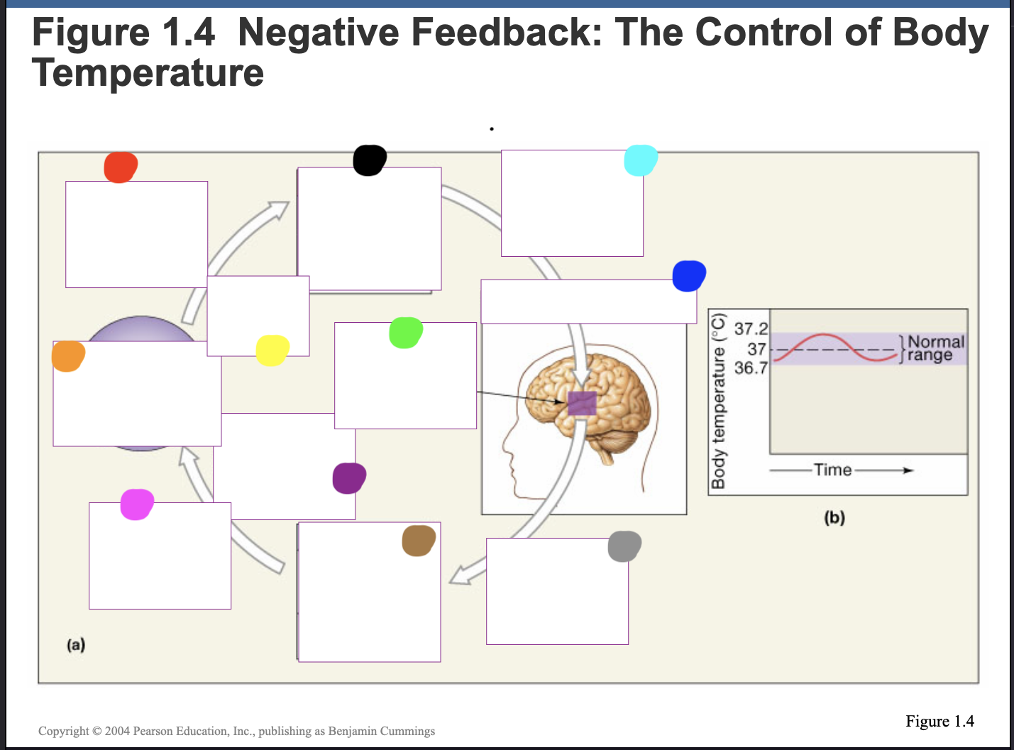 <p>What does the black dot represent?</p>