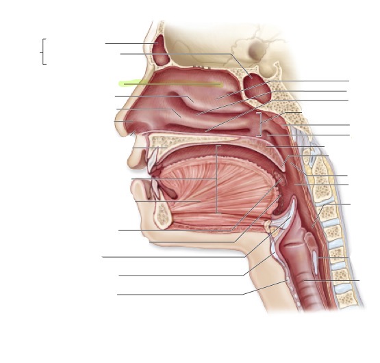 <p>What is this  </p>