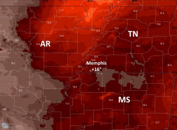 <p>Temperature forte</p>