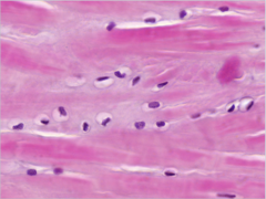 <p>What does this image show?</p>