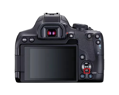 term image