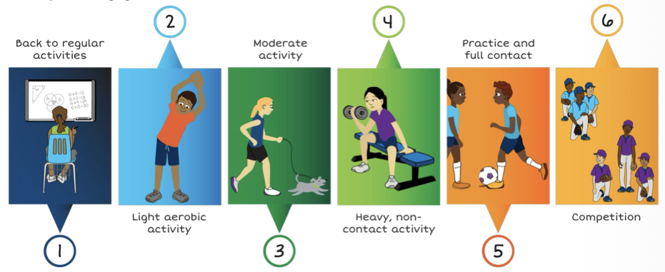 <p><span>The athlete needs to be symptom free for the same amount of time they have symptoms prior to returning to <strong>contact</strong> sports</span></p><ul><li><p class="p2"><strong>Especially youth &amp; adolescents</strong></p></li></ul><p></p>