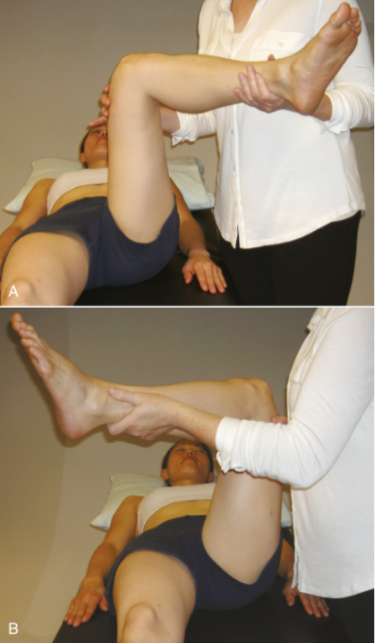 <p><strong>Purpose:</strong> <span style="color: red;"><strong>Lateral (IR) vs medial (ER) hip rotator muscle tightness - MLT</strong></span><br></p><p><strong>How to Perform:</strong></p><ol><li><p>Pt supine with hip and knee flexed to 90°</p></li></ol><p></p><p><strong>Testing Lateral Rotator (IR) Tightness:</strong></p><ol><li><p>Ask pt to medially rotate (IR) hip by moving foot outward</p></li><li><p>Normal hip IR ROM: approximately 30–40°</p></li></ol><p class="isSelectedEnd"></p><p class="isSelectedEnd"><strong>Testing Medial Rotator (ER) Tightness:</strong></p><ul><li><p>Ask pt to laterally rotate (ER) hip by moving foot inward</p></li><li><p>Normal hip ER ROM: approximately 40–60°<br></p></li></ul><p><strong>Positive Test: </strong><span style="color: red;"><strong>Limited hip IR or ER with muscle stretch end-feel </strong></span>(rather than a firm capsular one)</p><ul><li><p>Limited IR <30–40° = tight lateral rotators (piriformis, obturator internus, gemelli)</p></li><li><p>Limited ER <40–60° = tight medial rotators (tensor fasciae latae, gluteus minimus)</p></li></ul><p></p>