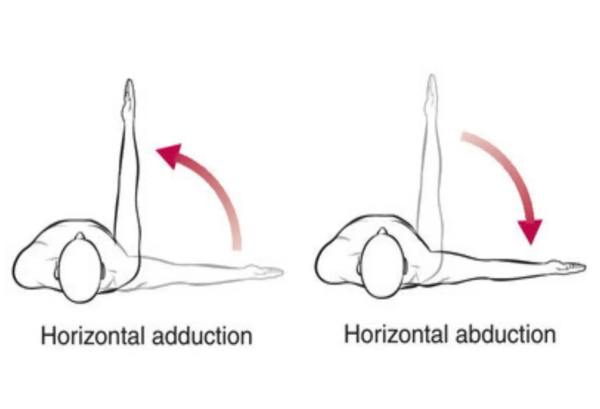 <p>Horizontal Adduction </p>