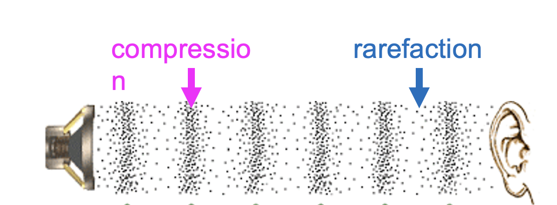 <p>Compression, rarefaction </p>