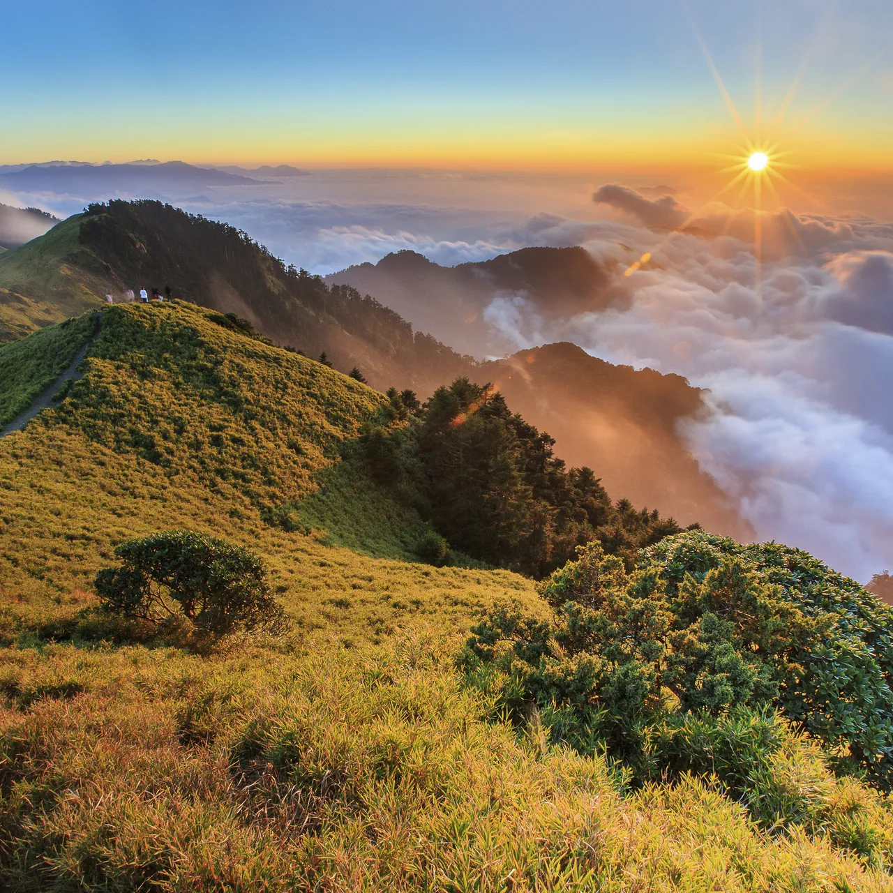 <p>mountain (n): núi</p>