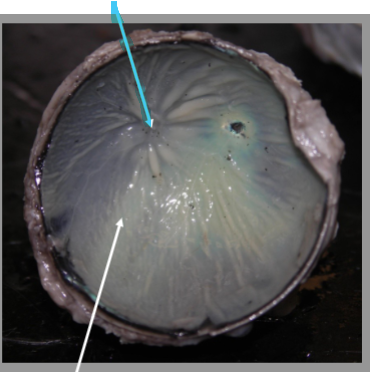 <p>What is the arrow pointing at?</p>