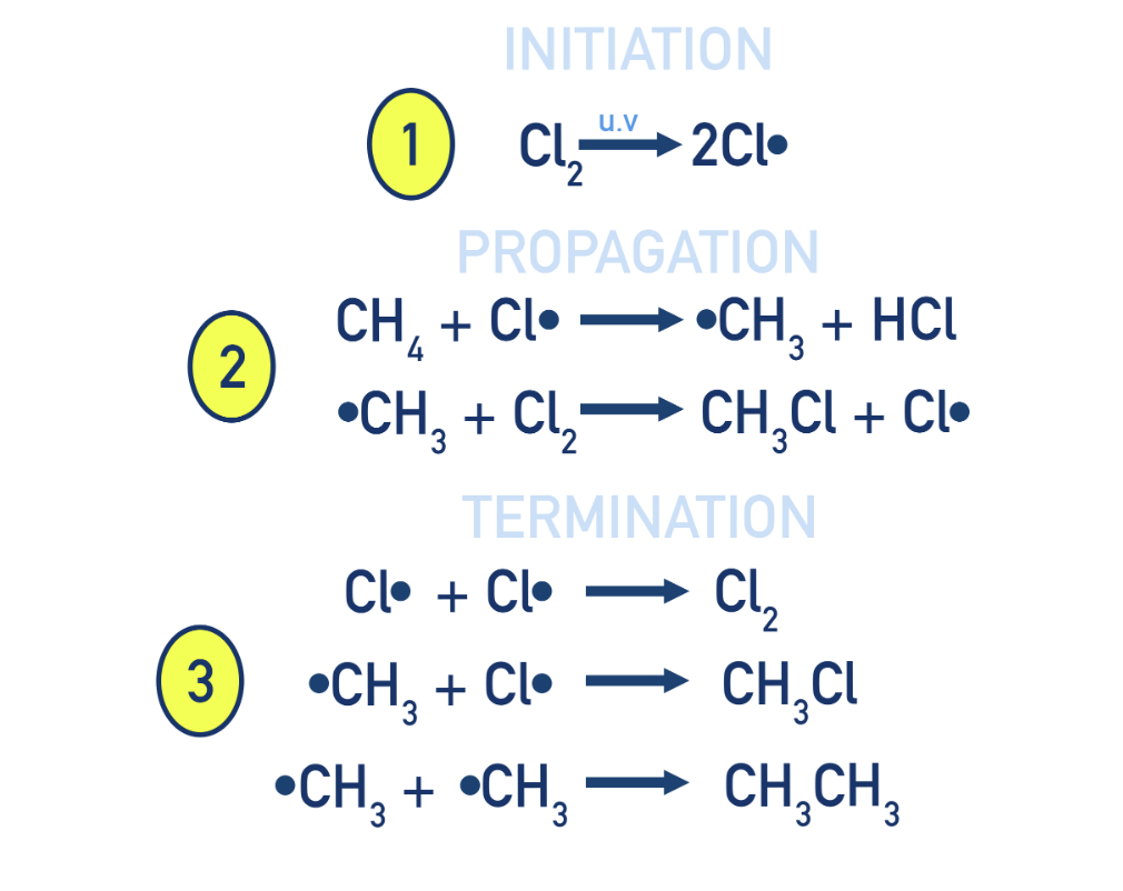 <p>initiation:  halogen bond homolyticly broken with UV light to form 2 free radicals</p><p>propagation: Radicals react to form new radicals in a chain reaction</p><p>termination: Radicals combine to form stable (non-radical) molecules, stopping the reaction.</p><p>There are several possible termination reactions</p><p></p>