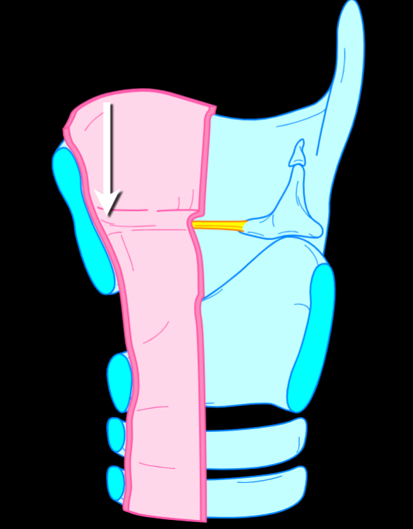 <p>What is being pointed at, and its structure?</p>