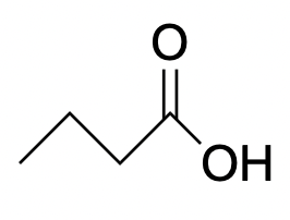 <p>Name this structure</p>