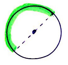 <p>An arc that represents half of a circle.</p>