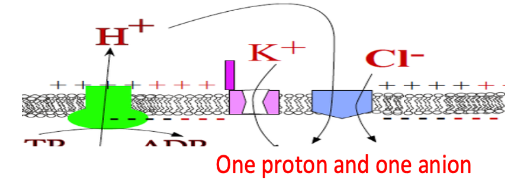<p>No change in charge (this is a charge neutral process)!</p>