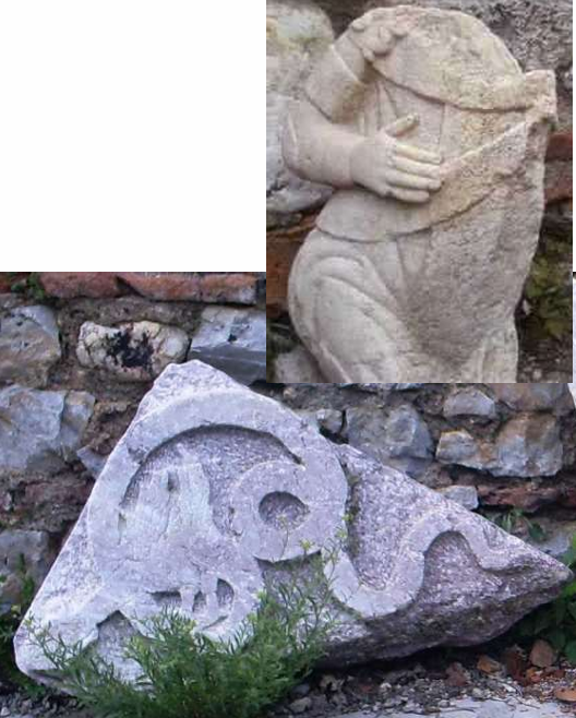 term image