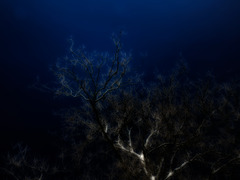 <p>dark layer of the oceans below the phototic zone where sunlight does not penetrate</p>