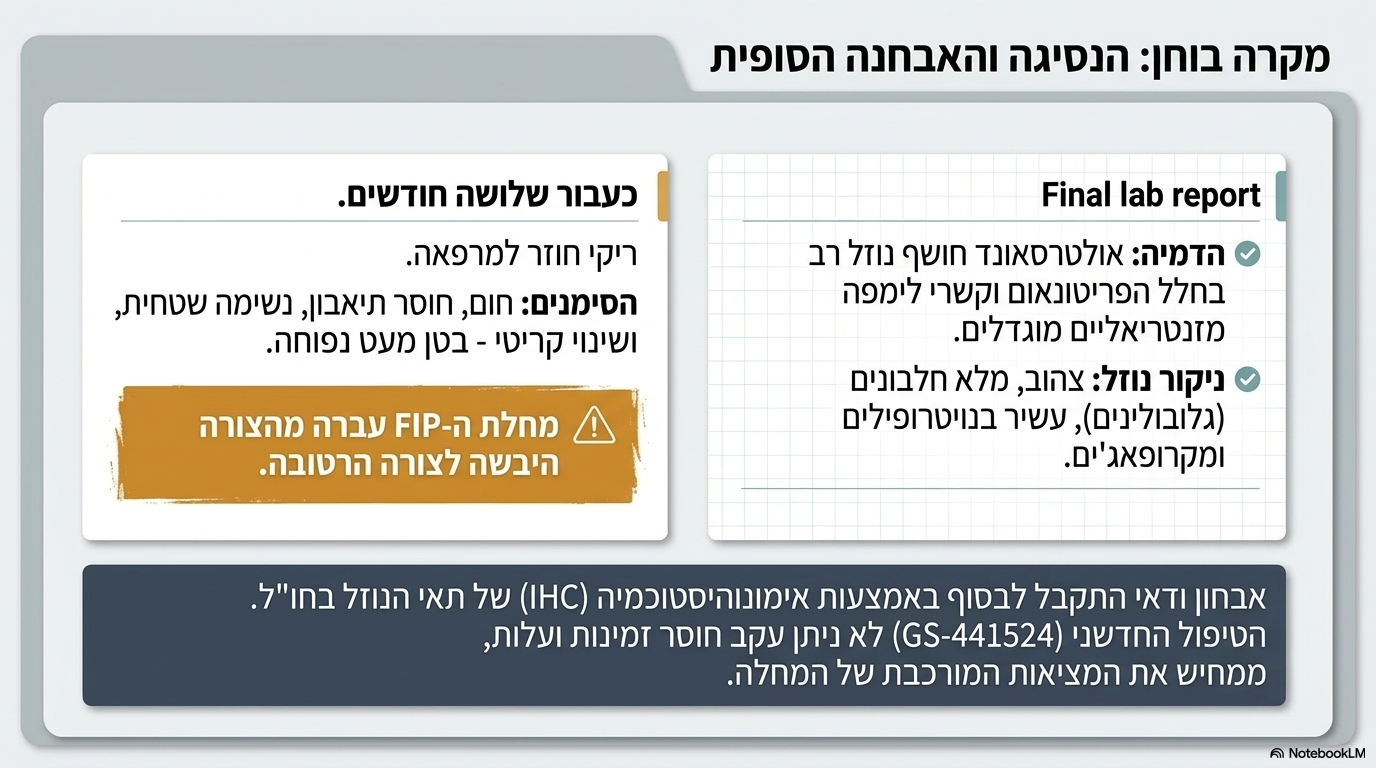 <p><strong>אבחון ודאי</strong><span>: אולטרסאונד הראה נוזל רב בבטן וקשרי לימפה מוגדלים. נלקחה דגימת נוזל שהיה צהוב ועשיר בתאים (נויטרופילים ומקרופאג'ים) ובחלבונים (גלובולינים). הוא אובחן סופית ב</span><strong>אף.איי.פי.</strong><span> בצורתו הרטובה באמצעות בדיקת צביעה אימונוהיסטוכמית של תאי הנוזל</span></p>