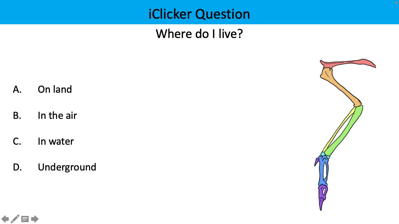 <p>Where do I live?</p>