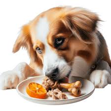 <p>to indulge in</p>