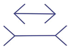 <p>-<u><mark data-color="#f6e6d2" style="background-color: rgb(246, 230, 210); color: inherit;"> illusion of line length,</mark></u> causing lines of equal length to appear to be different</p>