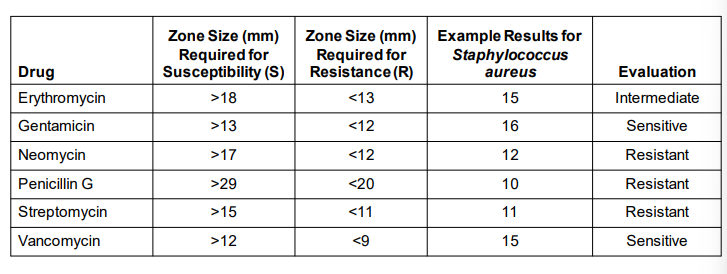 <p>Kirby-Bauer Technique</p>