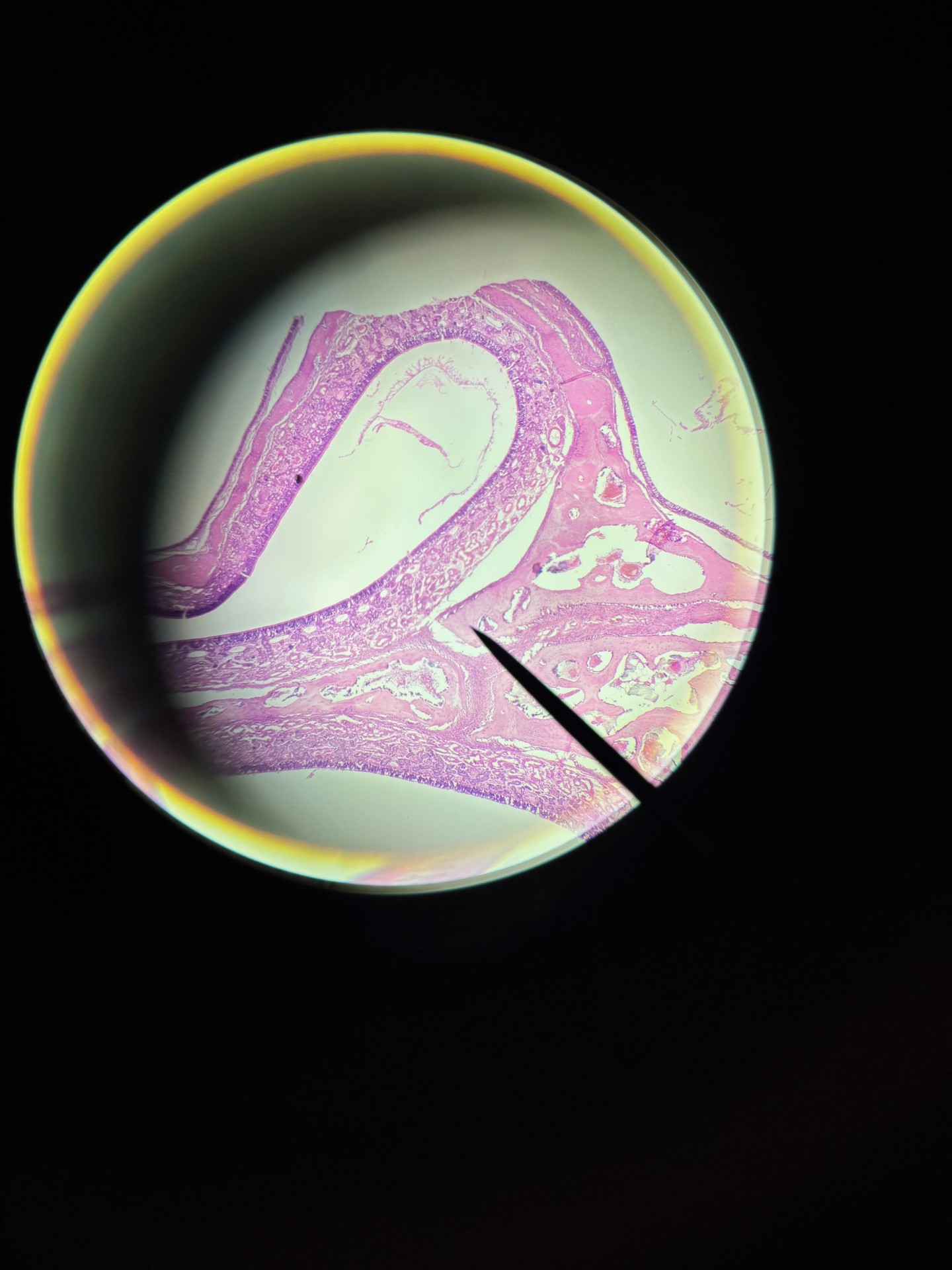 <p>What is this?</p>