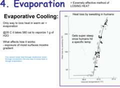 <p>Evaporation is an extremally effective method of LOSING HEAT.</p><p>Evaporative Cooling: </p><p>When humans hit a specific temperature they begin to produce sweat (sweat is heat lost via evaporation) </p><p>@35 C it takes 580 cal to vaporize 1 g of H2O</p><p>Only way to lose heat in warm air = evaporation</p><p>You cannot loose heat through conduction (even through convection) the only way to loose heat is though evaporation</p>