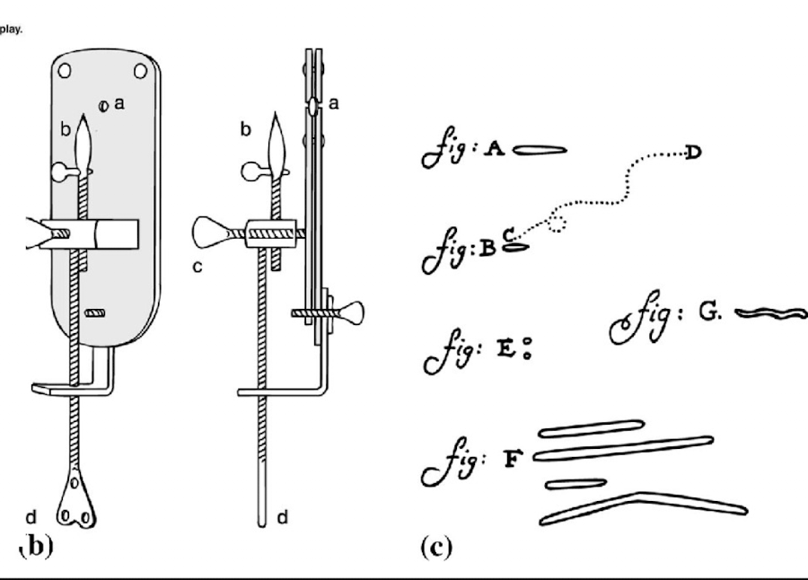 <p>1600 ~ First to see prokaryotic bacteria</p><p>built the first microscopes with grinded lenses</p><p>first to illustrate and describe microbial cells</p>