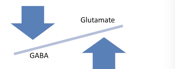 <ul><li><p>Glutamate - excitatory neurotransmitter</p><ul><li><p>stimulates post-synaptic NMDA receptors causing calcium influx and depolarization</p></li></ul></li><li><p>GABA - inhibitory neurotransmitter </p><ul><li><p>stimulates GABAa receptors and promotes hyper polarization through chloride mediated inhibition</p></li><li><p>GABA inhibitions decreases as SE progresses</p></li></ul></li></ul><p></p>