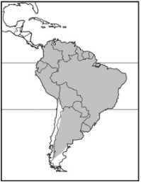 <ul><li><p>Infraclass Eutheria</p><p>Order: Rodentia</p></li><li><p>Capybaras, maras, guinea pigs.</p></li><li><p>Suborder Hystricomorpha:</p></li><li><p>Family Caviidae</p></li></ul><p>carnivorous and omnivores</p>