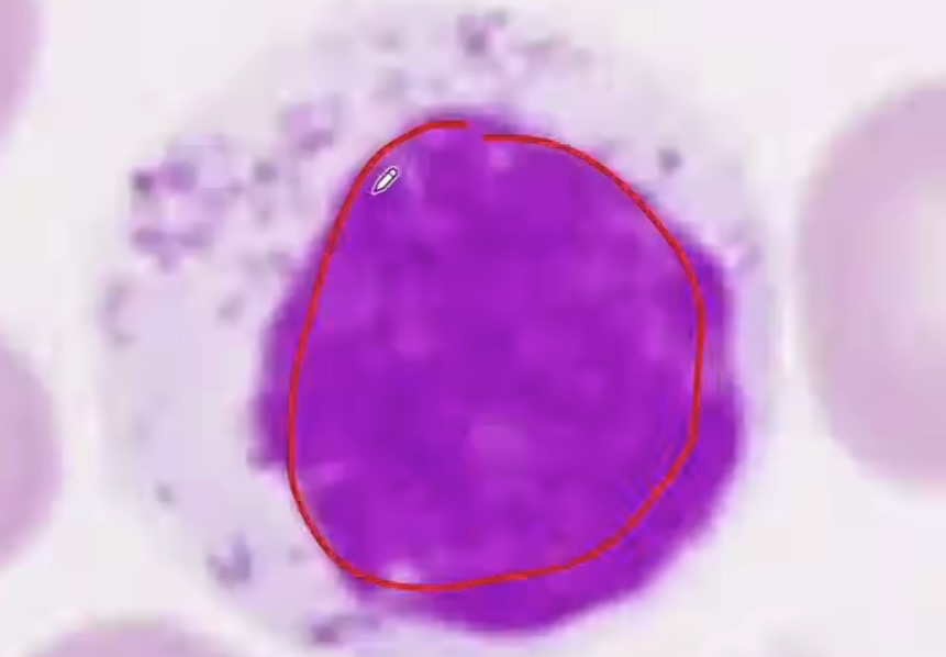 <p>What is this </p>