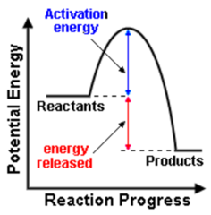 <p>Spontaneous, net release of free energy</p>